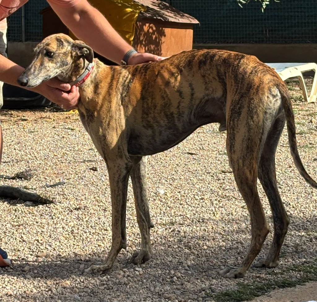 02 IMG 20251103 WA0043