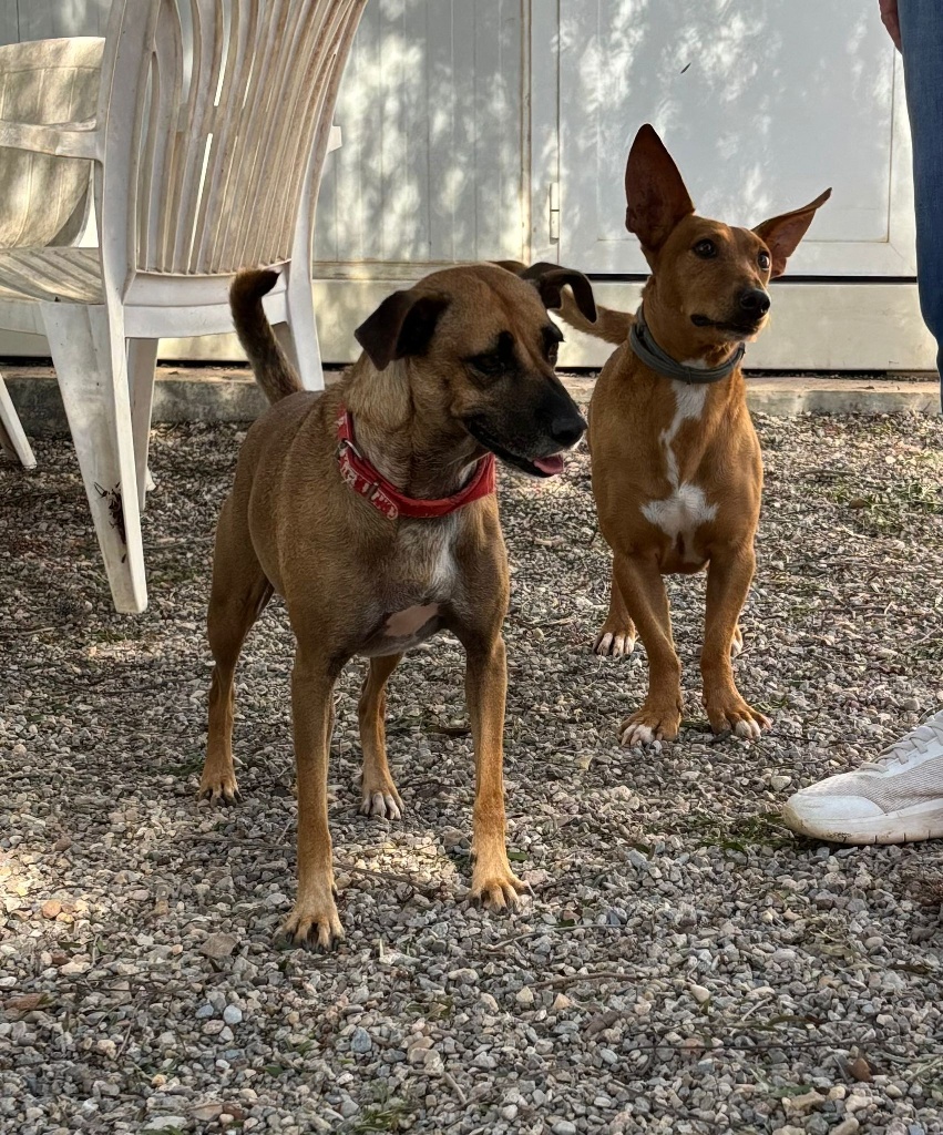 03 IMG 20251103 WA0042