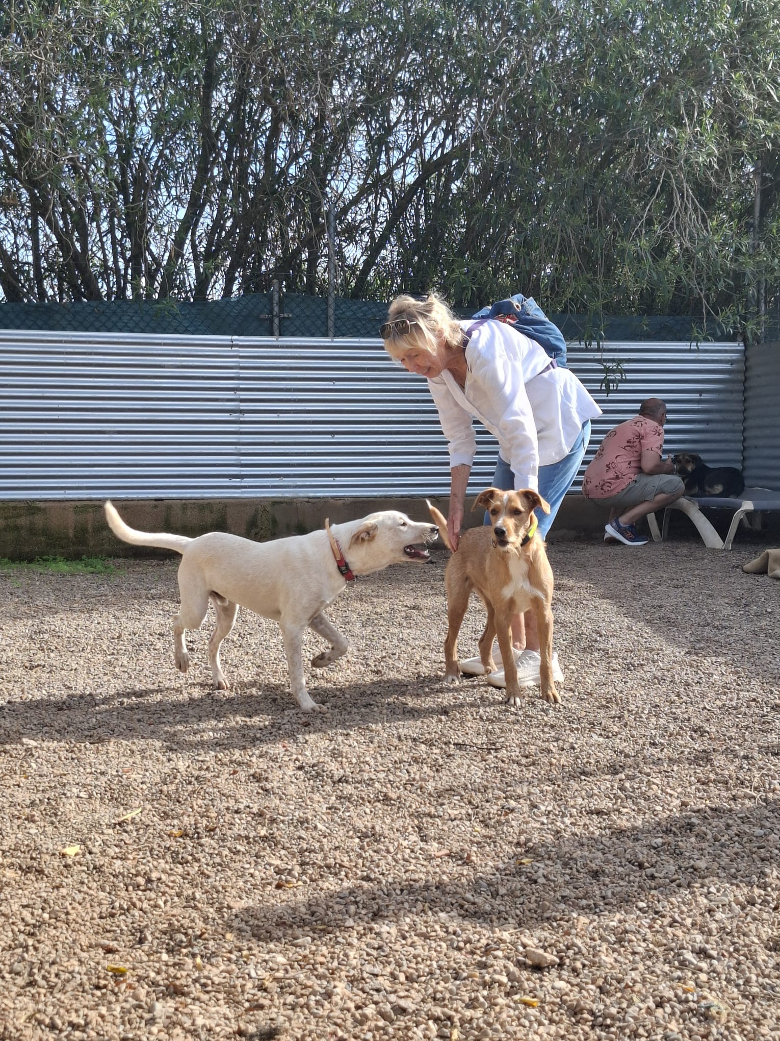 10 IMG 20251020 WA0030