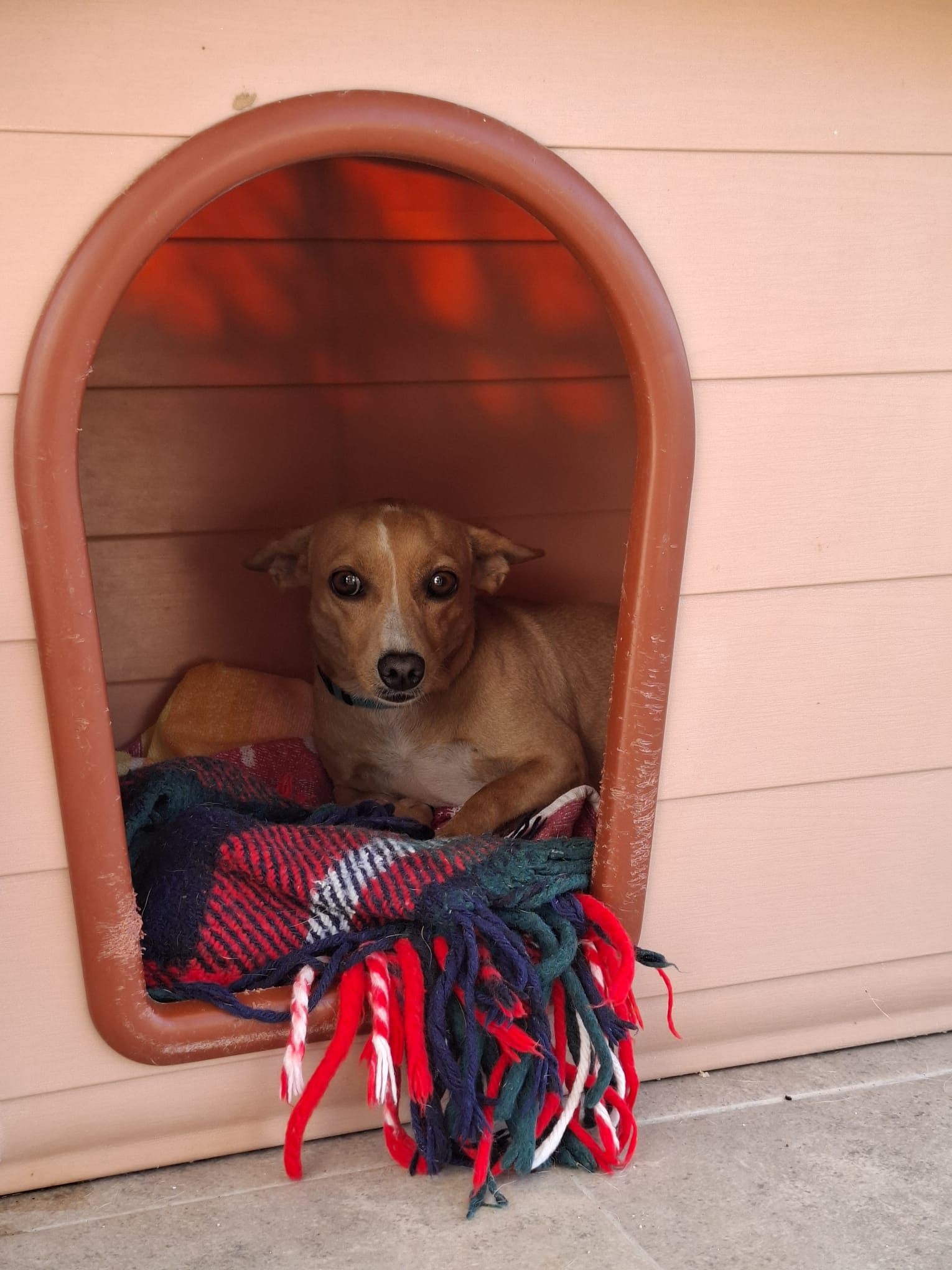 14 IMG 20251020 WA0034