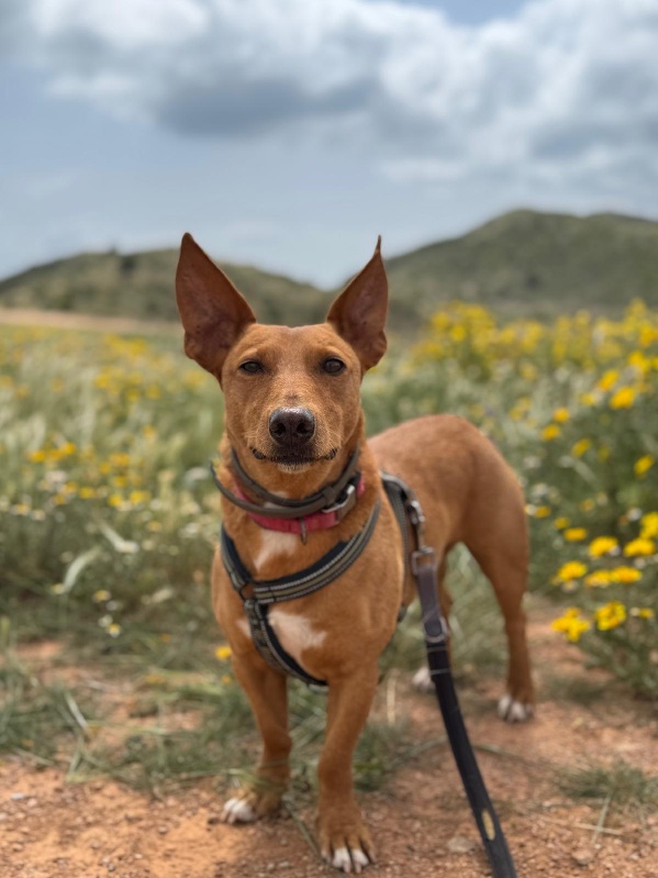 04 IMG 20250607 WA0063