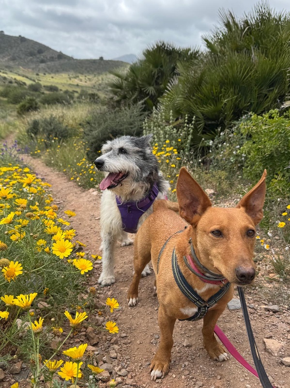 05 IMG 20250607 WA0050