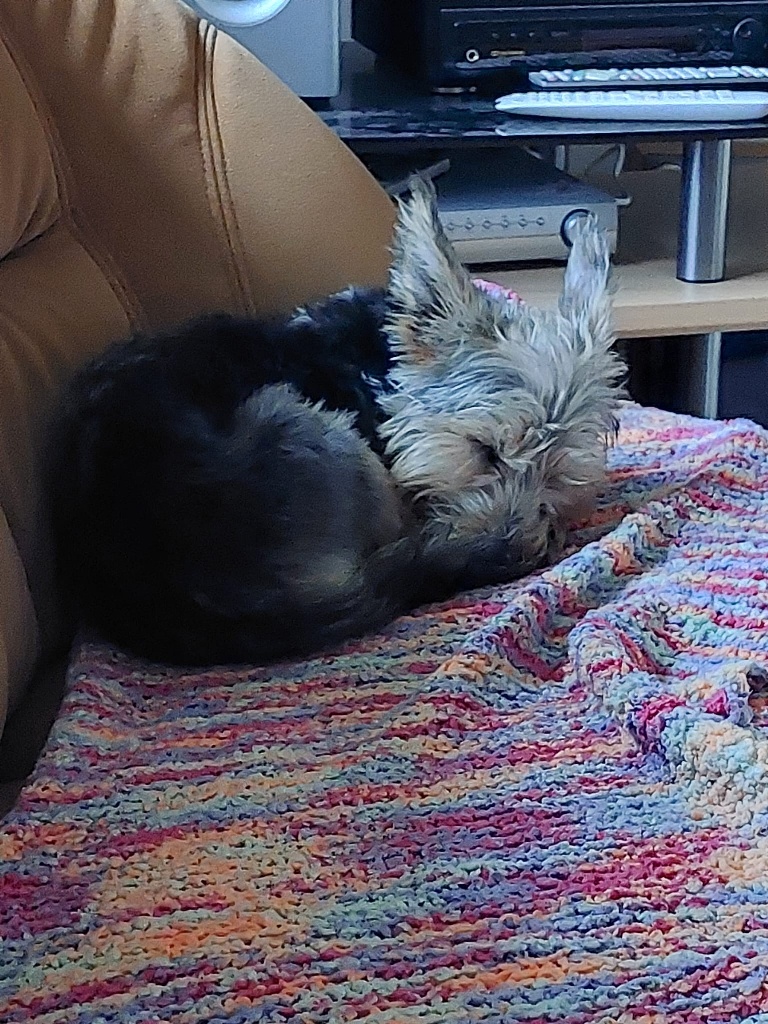 Nano Nacho Zuhause 2