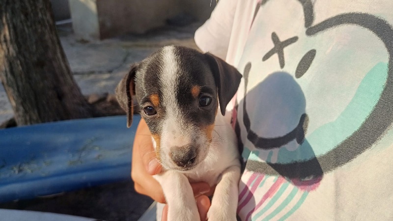 03 IMG 20250717 WA0000