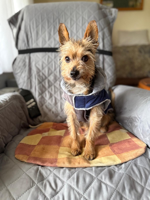 02 IMG 20251004 WA0032