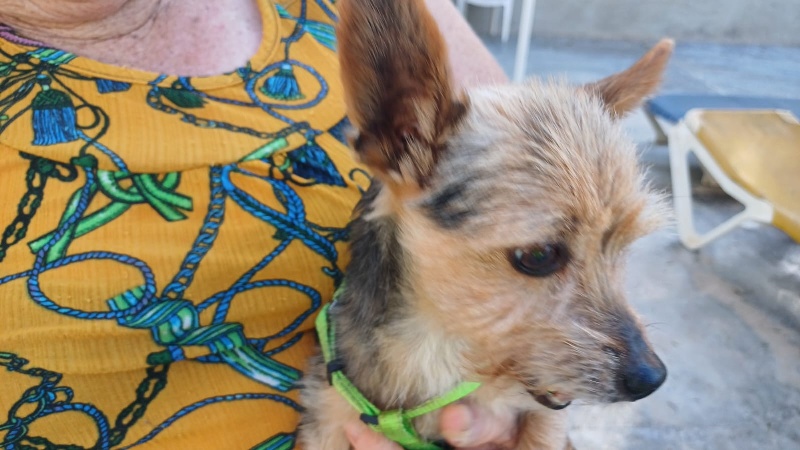 05 IMG 20250723 WA0093