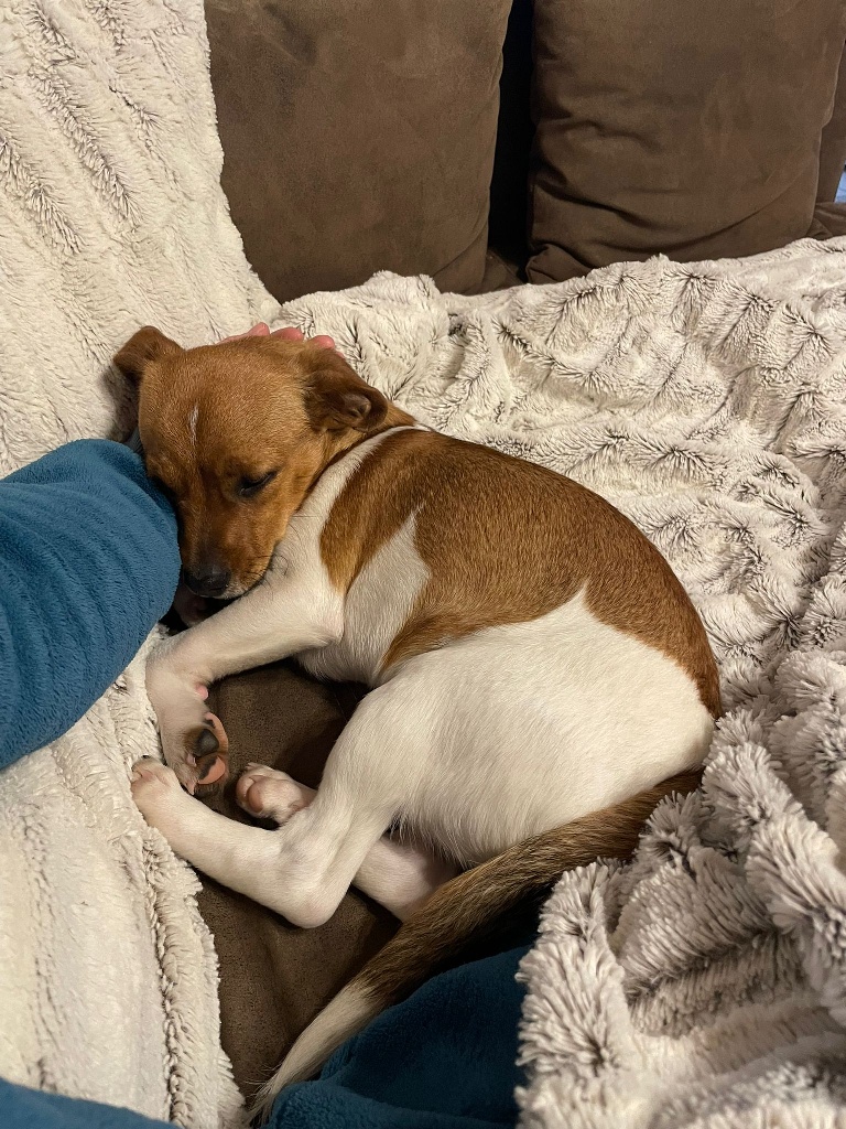 Jerry Pablo Zuhause 1