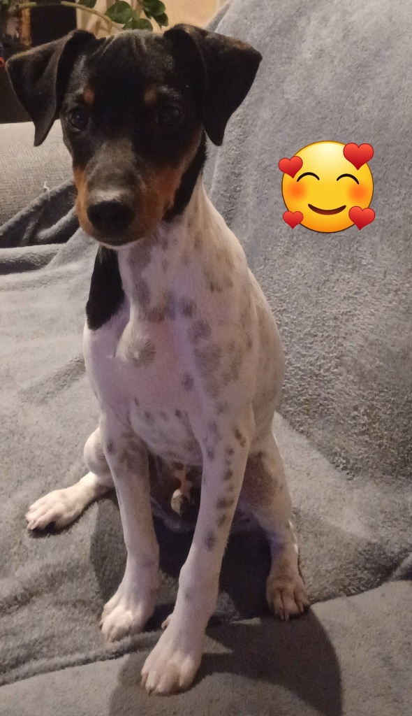 02 IMG 20251011 WA0004