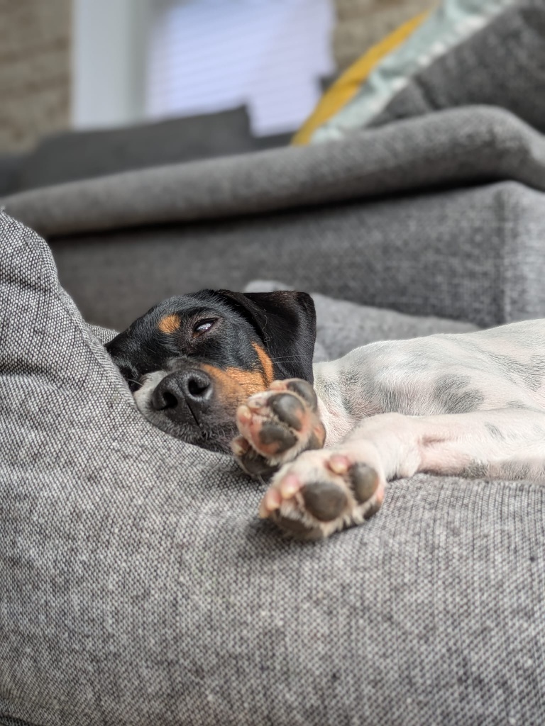 01 IMG 20251004 WA0025