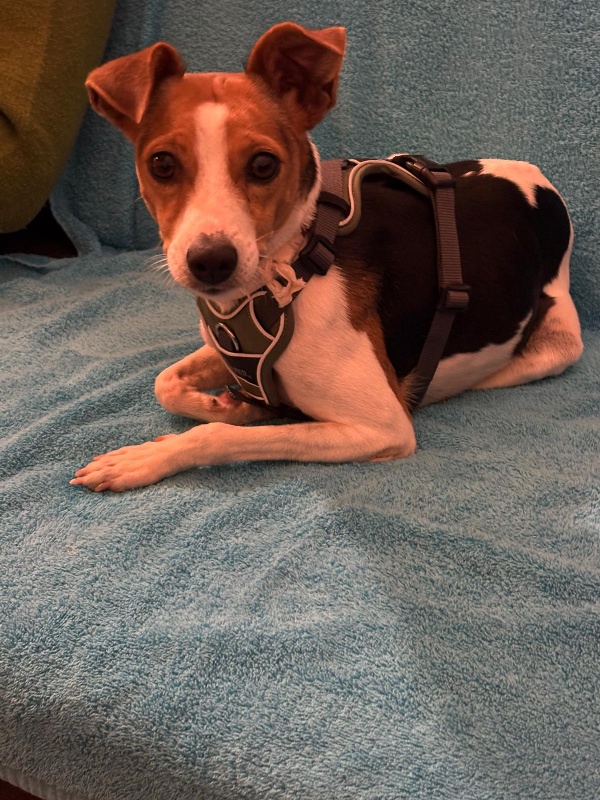 01 IMG 20251004 WA0089