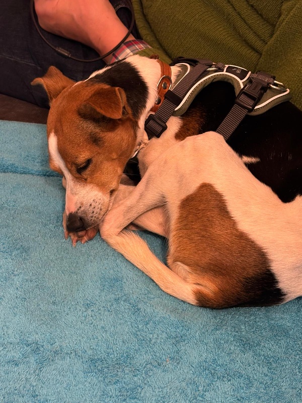 02 IMG 20251004 WA0090