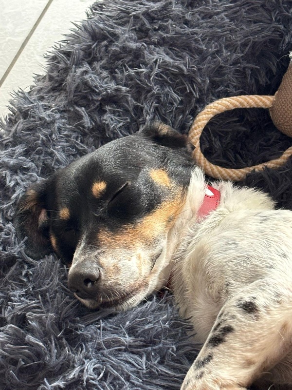 02 IMG 20251027 WA0057