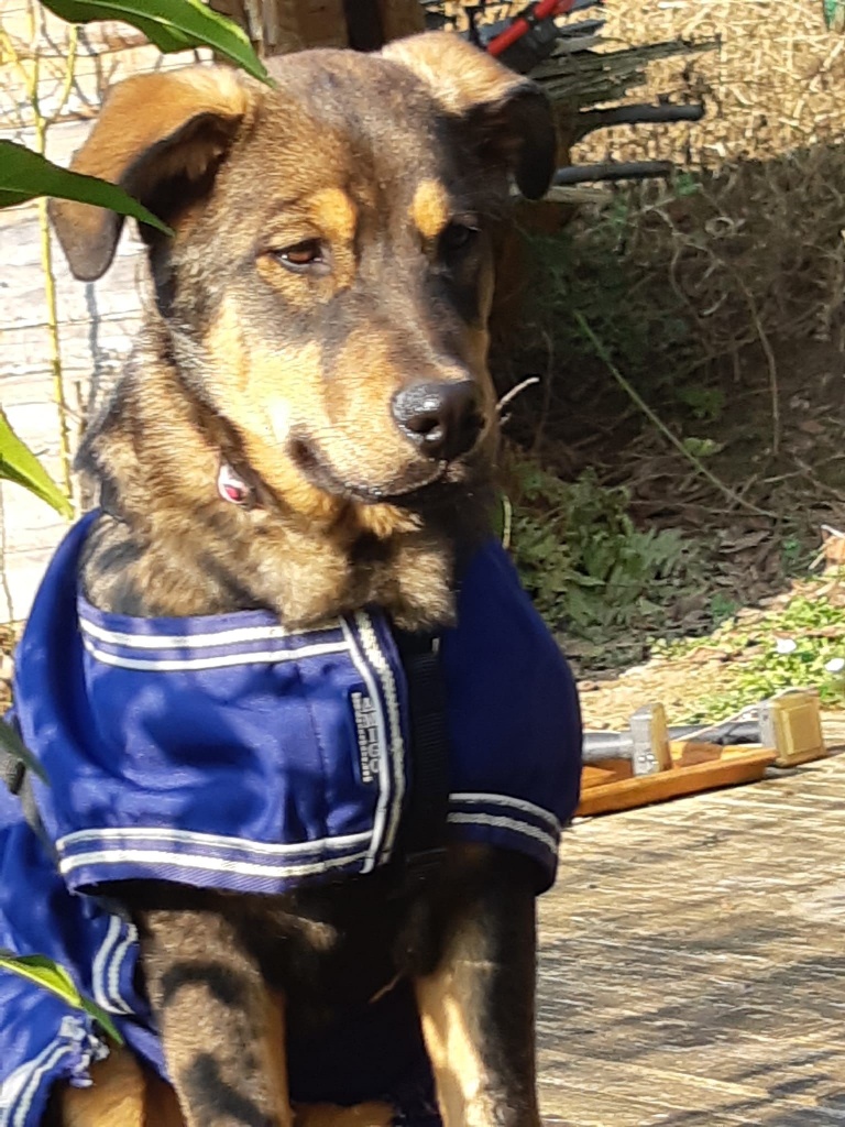 Sultan Bello Zuhause 1