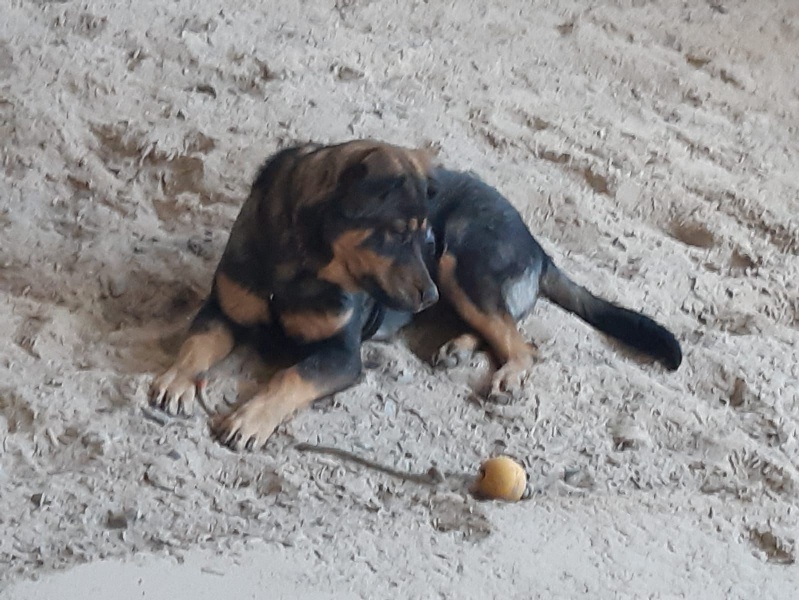 Sultan bello Zuhause 3