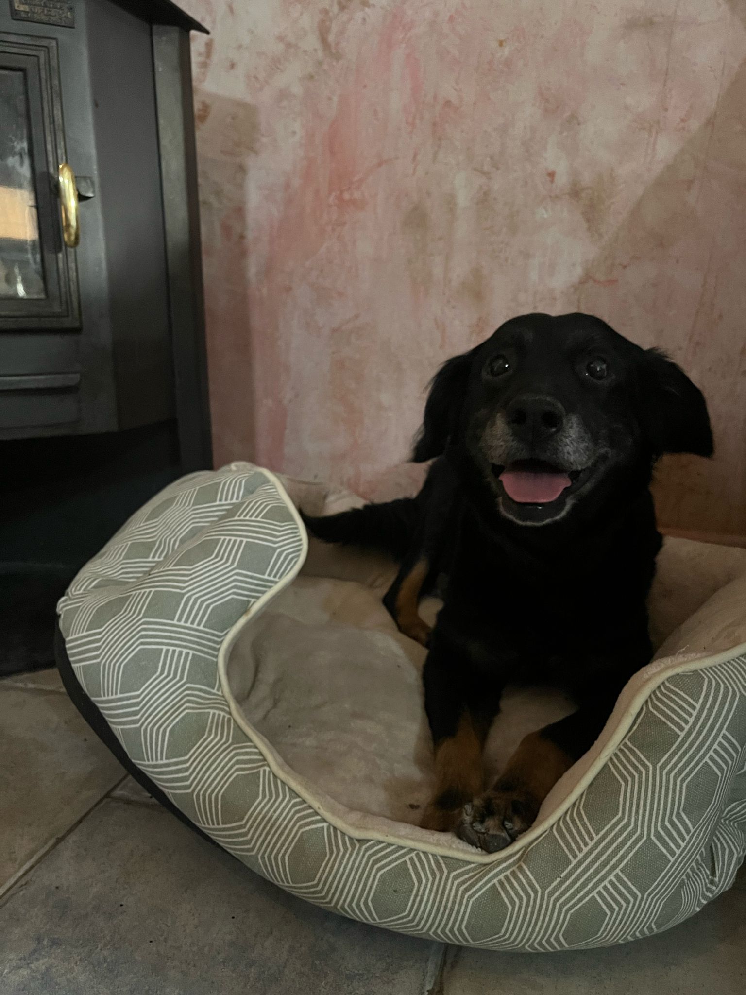 02 IMG 20250326 WA0003