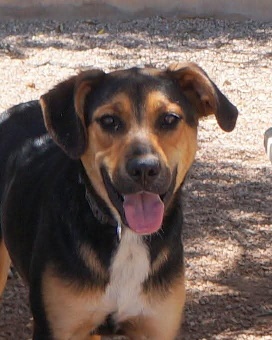 02 FB IMG 1750250197966