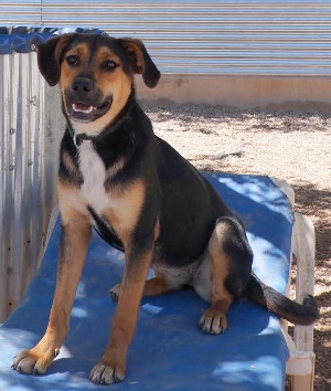 07 FB IMG 1750250173057