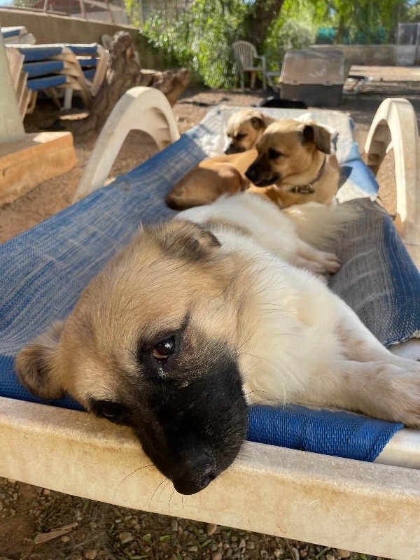 03 IMG 20251129 WA0016