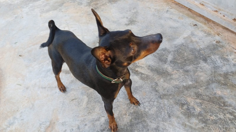 06 IMG 20251201 WA0025