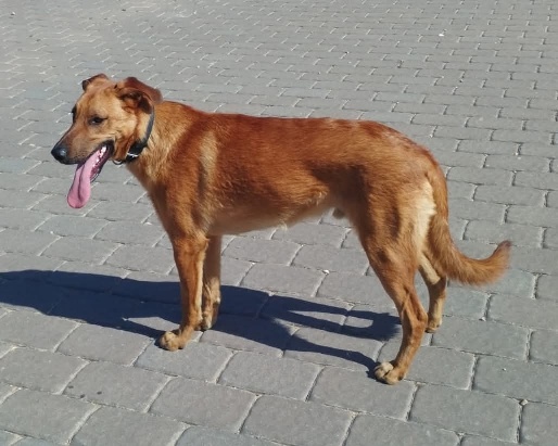 06 FB IMG 1751273392378