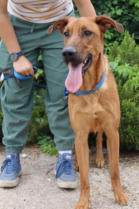 10 FB IMG 1751273367037