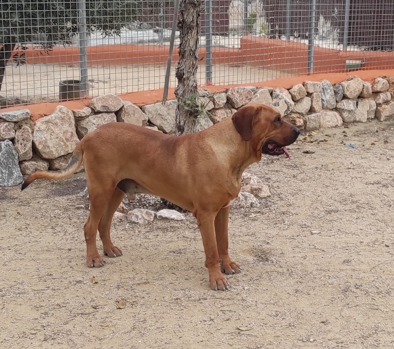 01 IMG 20250320 WA0020