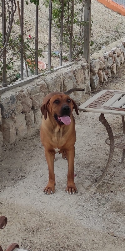 04 IMG 20250320 WA0018