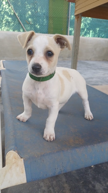 02 IMG 20251130 WA0062