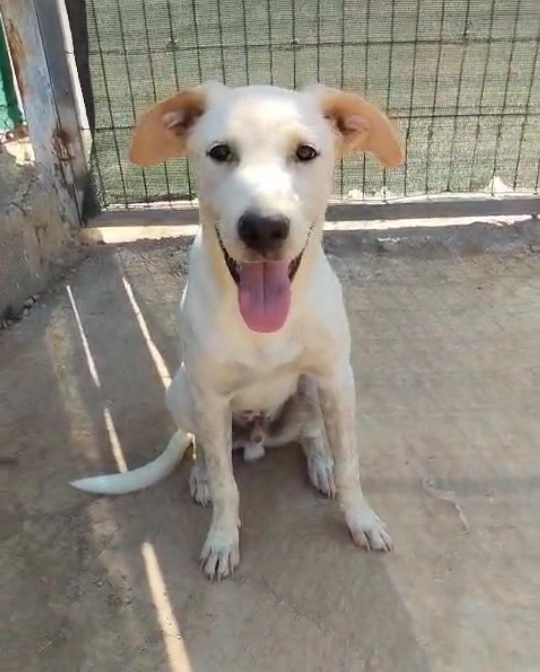 01 IMG 20251016 WA0005