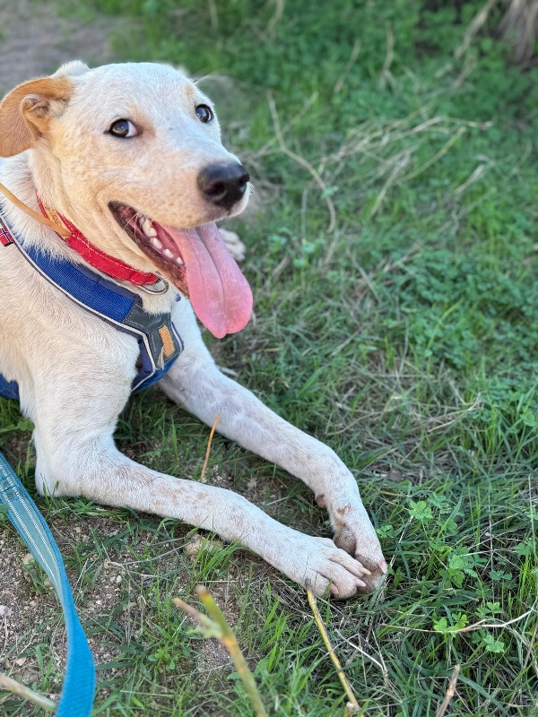 03 IMG 20251110 WA0036