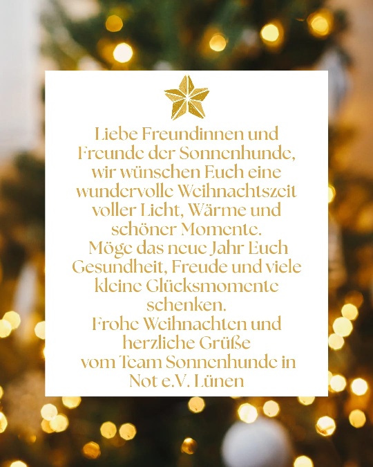 Weihnachtsgrüße 2025 2